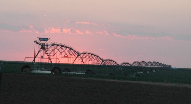 Foto ilustrativa - Irrigação no Texas (EUA). Imagem Flickr CC: Agrilife Today.